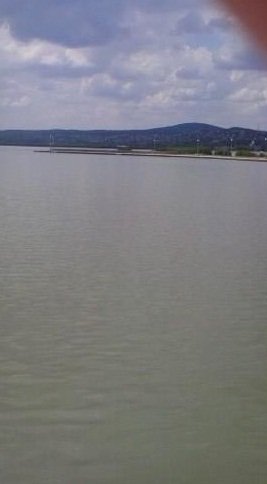 10487788_1418377931779197_485769096_n