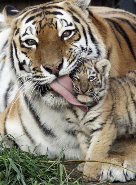 22f6c6b2-89be-4f6e-ac55-66472ff2bec0