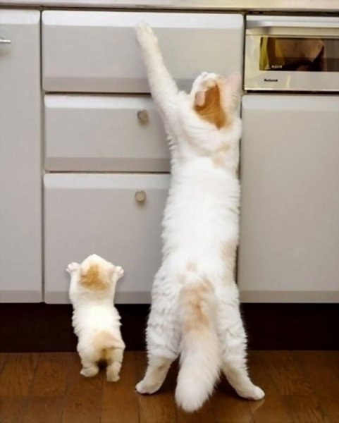 4fedd5ed-4d0d-4ebc-bb49-834666c38fc4