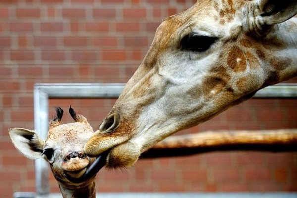 e271f7f2-7ace-4b01-99c6-0eda5813efde