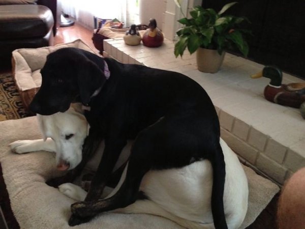 789265b5-c621-4392-9a69-0bac0b0de8a4