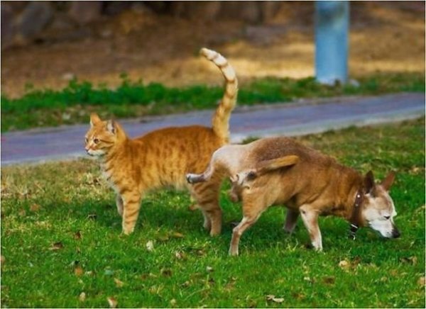 82819f2c-510e-4dc6-b7ec-7aa33395f278