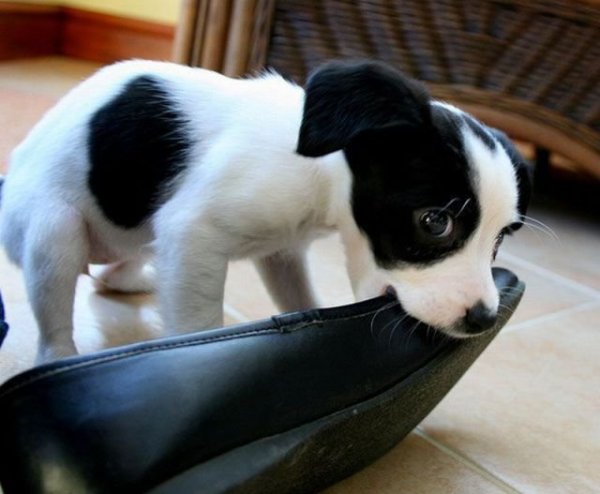 c419791e-c342-4b48-9575-18671cb4edae